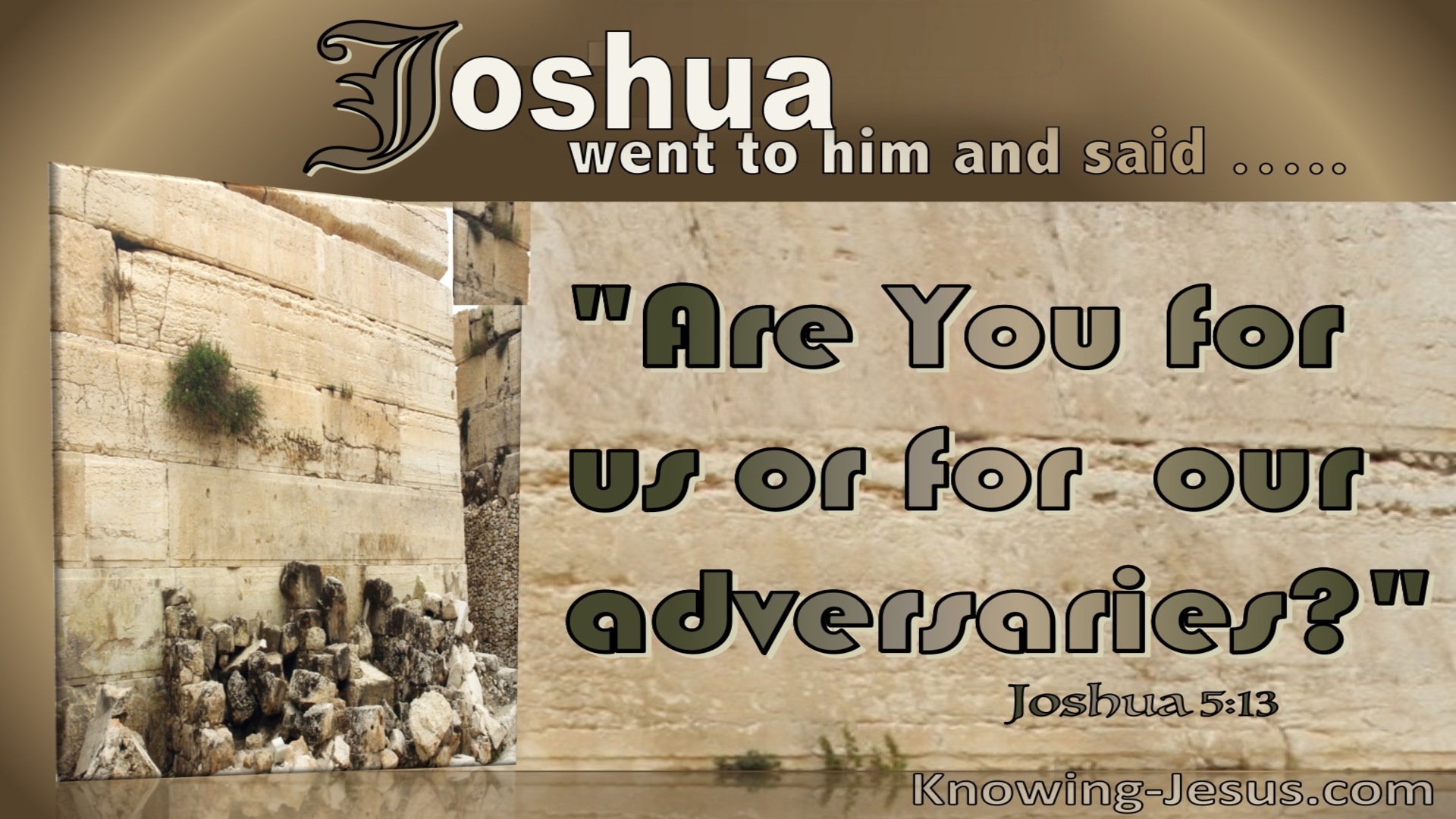 Joshua 5:13 Are Your For Us (brown)